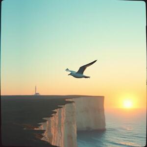 seagullsingmeyourhighsong